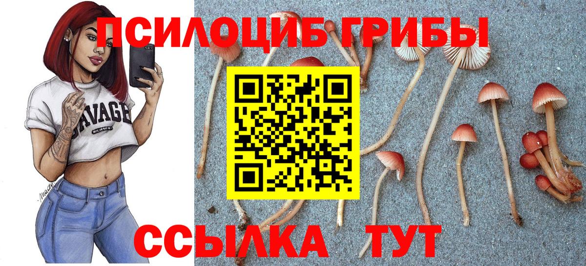 Малоярославец  Вход с VPN  Конопля  Мефедрон кристаллы  Гашиш 
