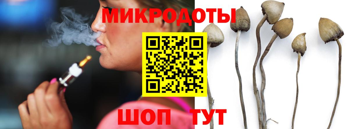 Галлюциногенные грибы мицелий  что такое   Псилоцибиновые грибы прущие грибы  Малоярославец  Вход с VPN 